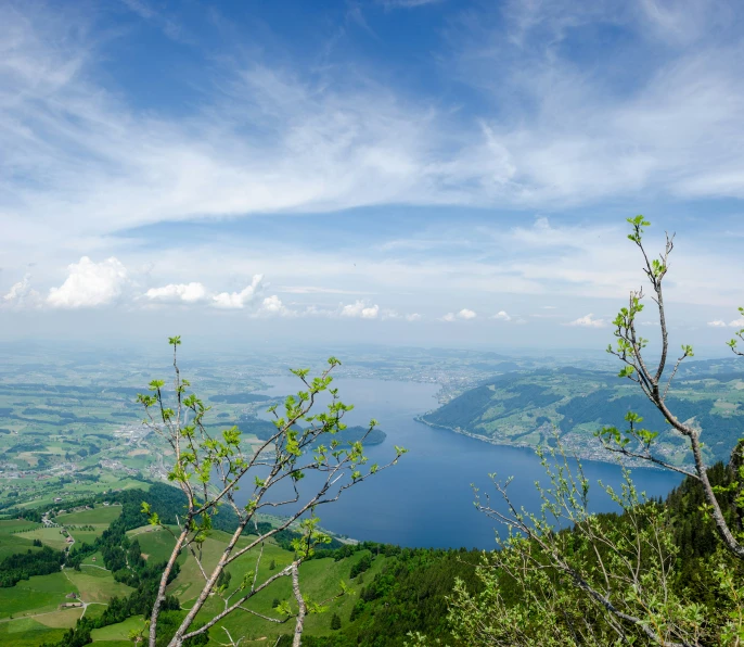 view from a hill of a lake and grass, with trees, and other green areas