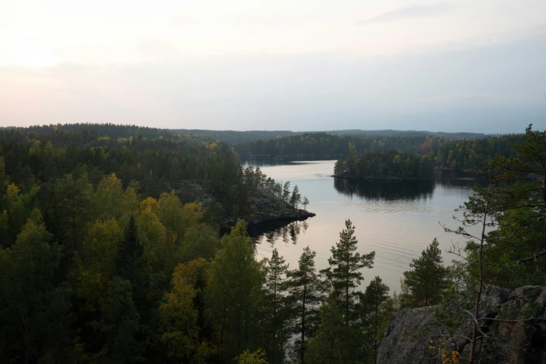 some trees are on the side of a body of water