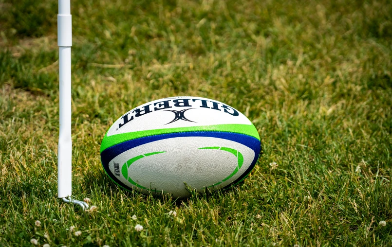 an official rugby ball sitting in the grass