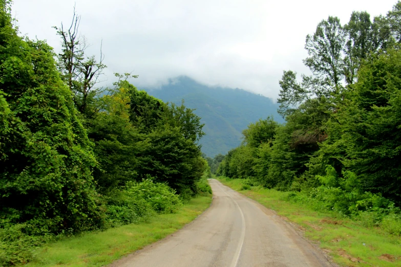 the dirt road is surrounded by trees and a mountain