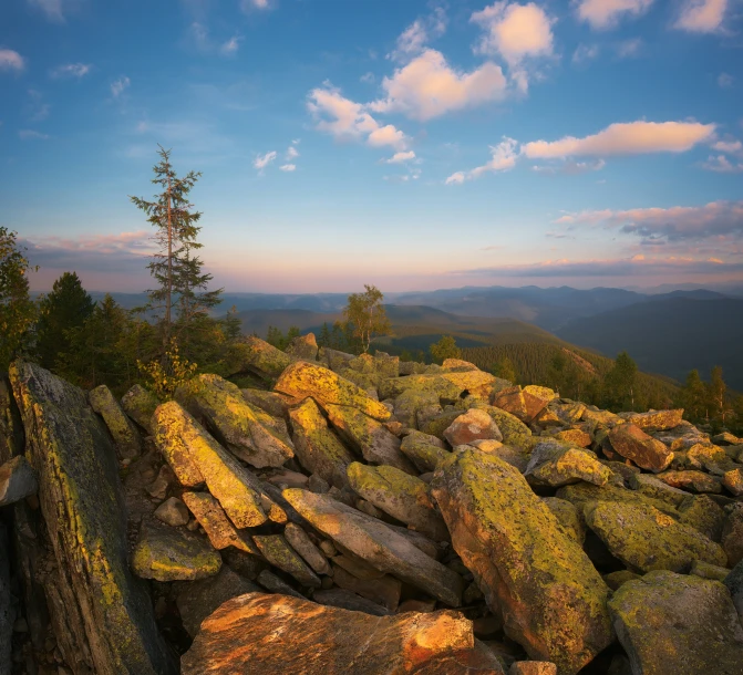 some very large rocks with moss growing on them