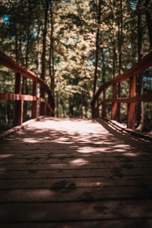 the path in the woods is made of wood