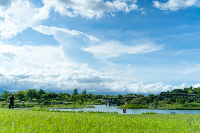 a man in grassy area flying a kite