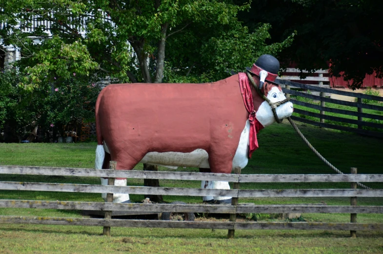 a giant red and white cow is tied to a wooden fence