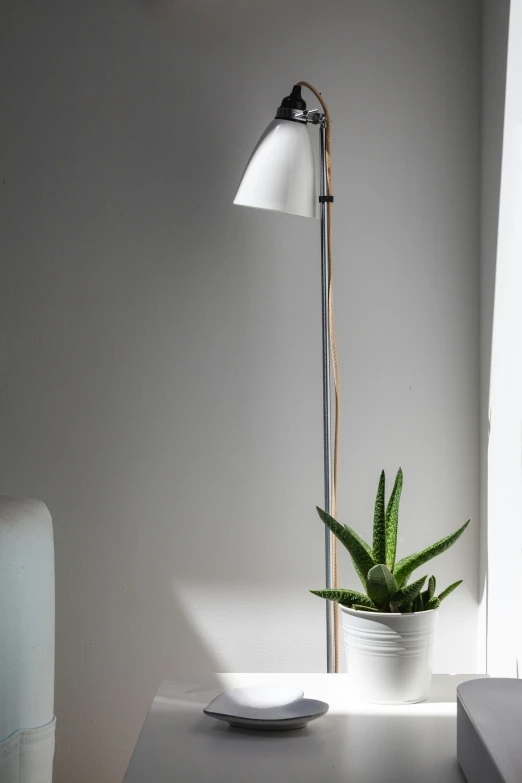 an up close s of a dim light and white table with a plant