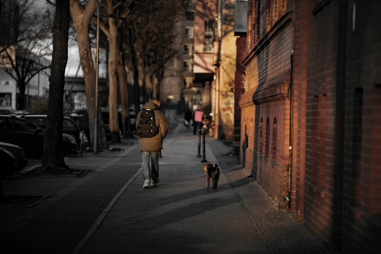 the dog is following a walking woman down the sidewalk