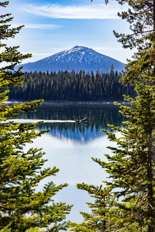 a boat with trees in front of the water