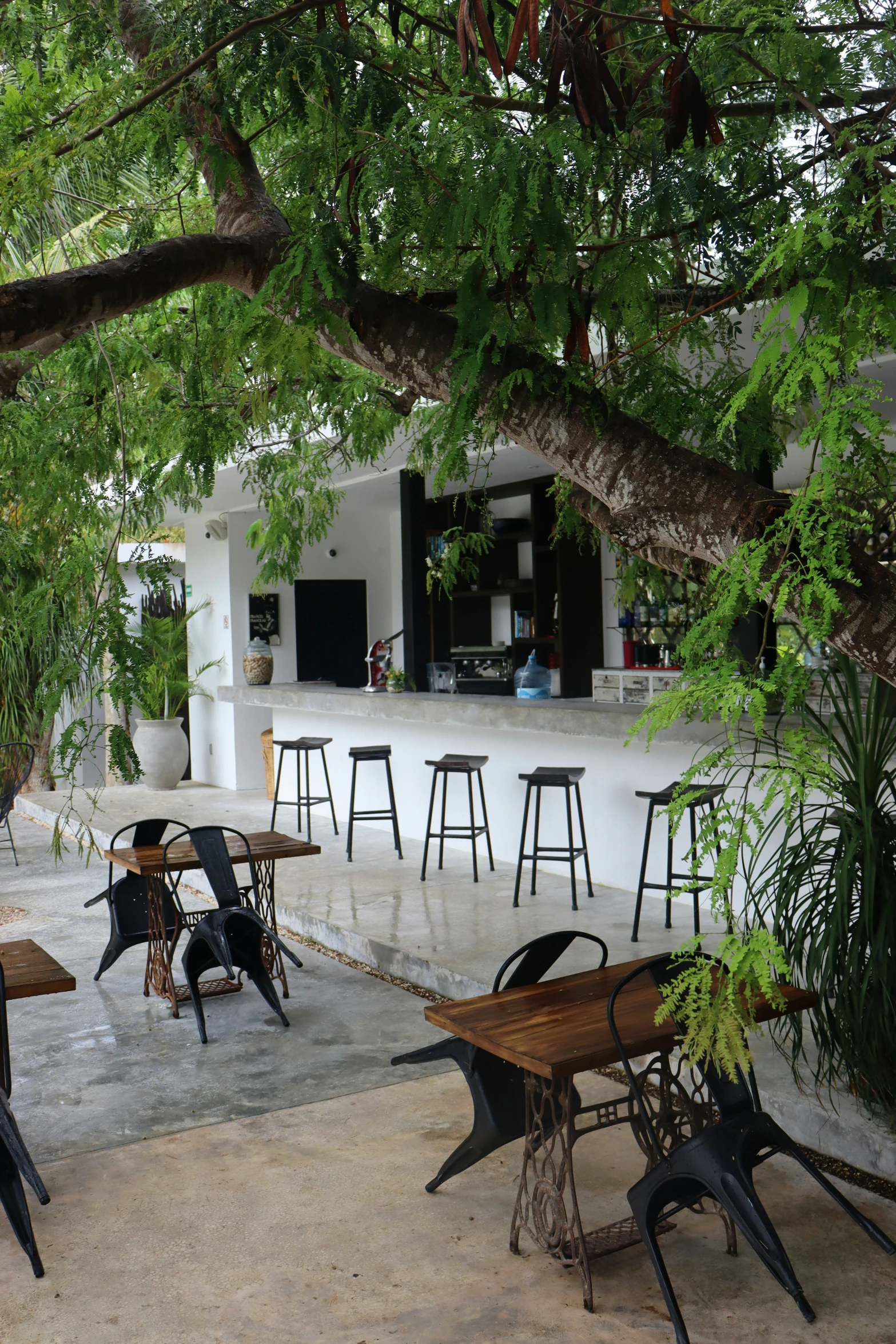 some tables and chairs under a tree by the building