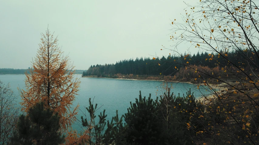 a lake surrounded by wooded land with trees in front