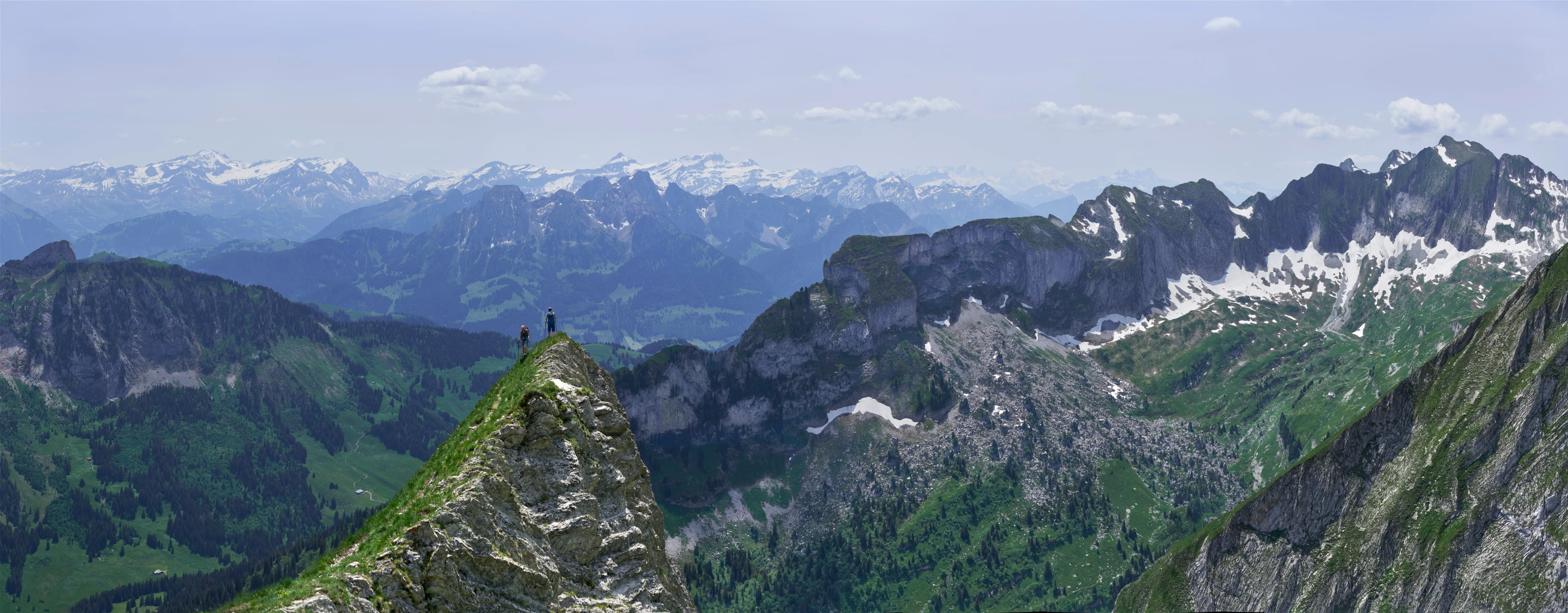 the top of two rocky mountains are covered in vegetation and one bird stands on the one mountain peak