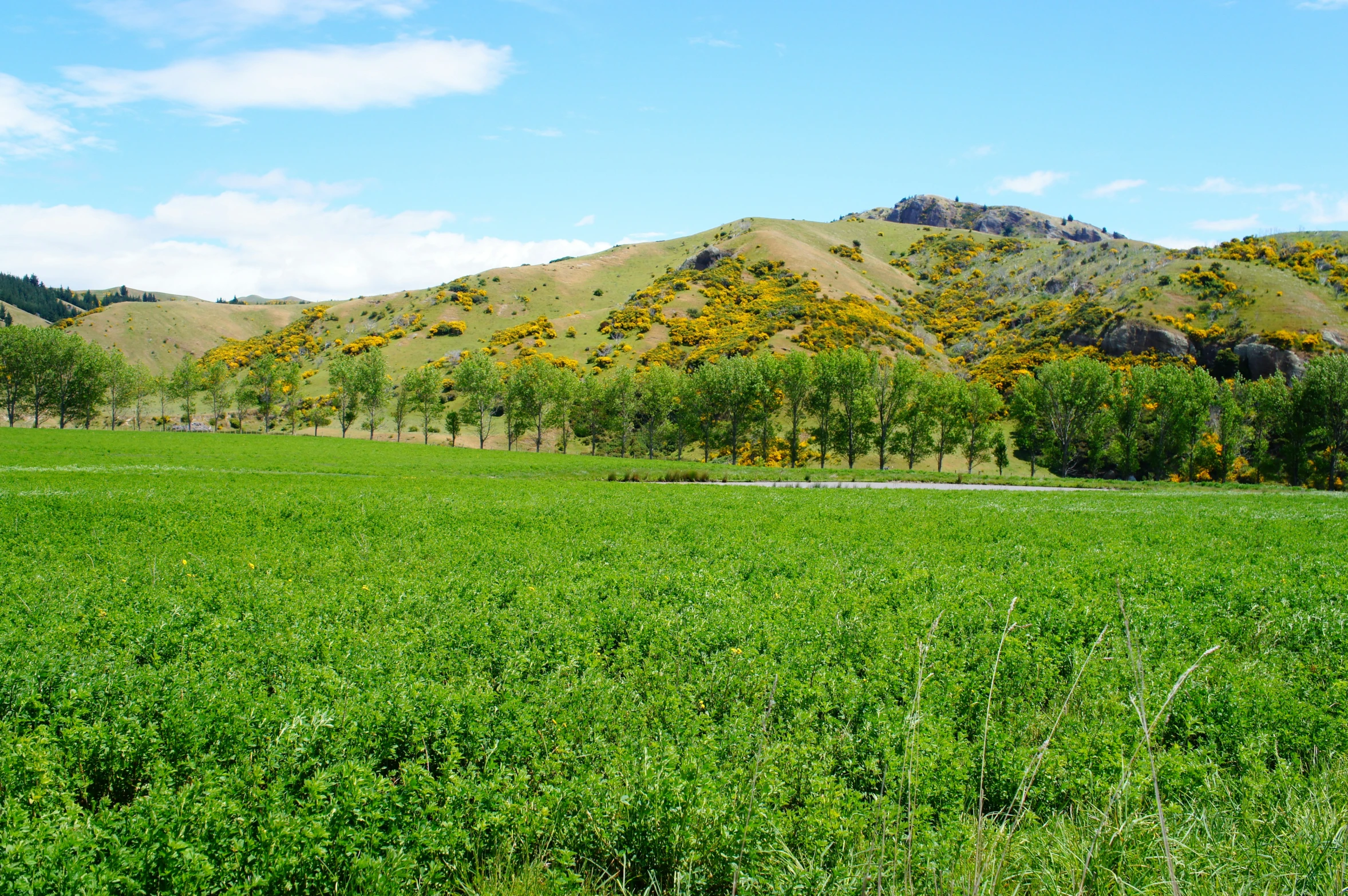 a large field with some grass in the middle of it