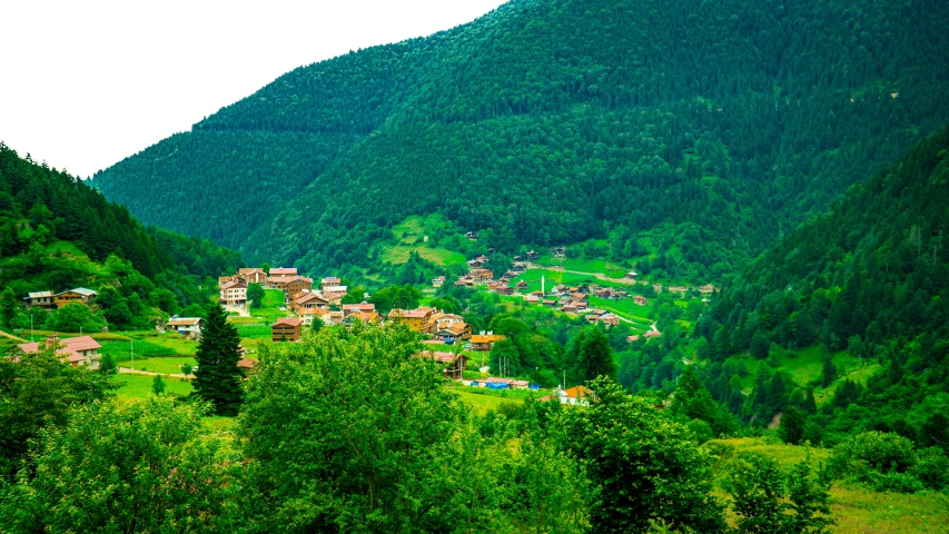 the mountains are covered with green grass and trees