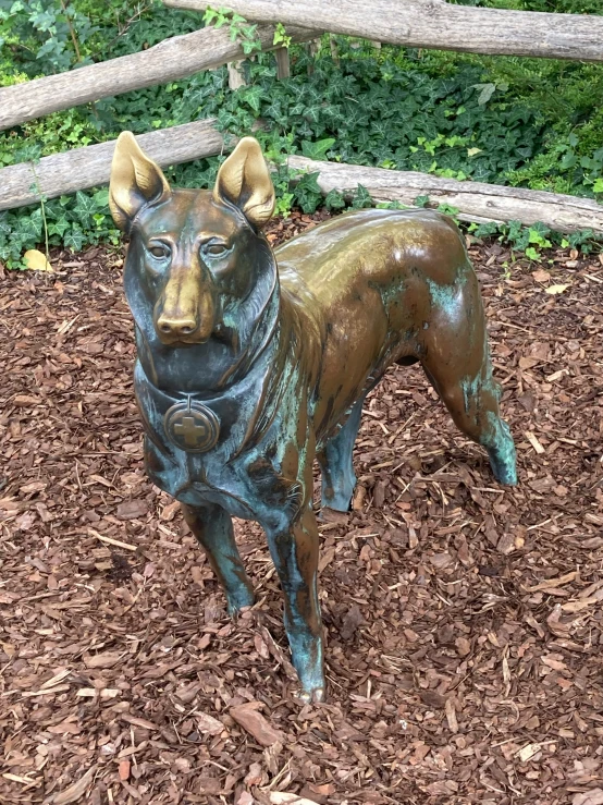 a statue of a bull dog in mulch next to wooden posts