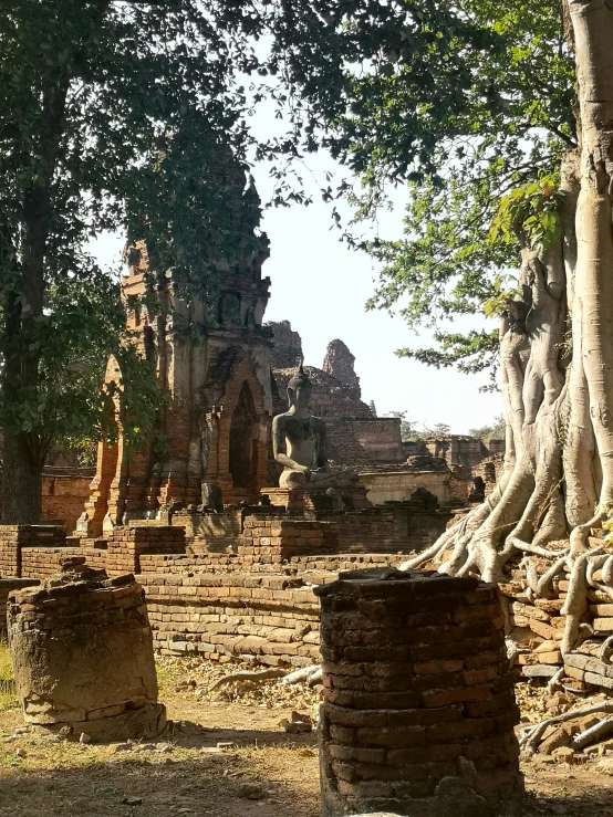 stone buildings and trees in an ancient ruin