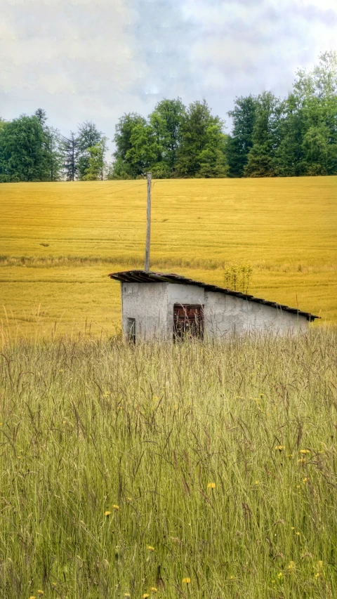 a house with a broken door stands in tall grass