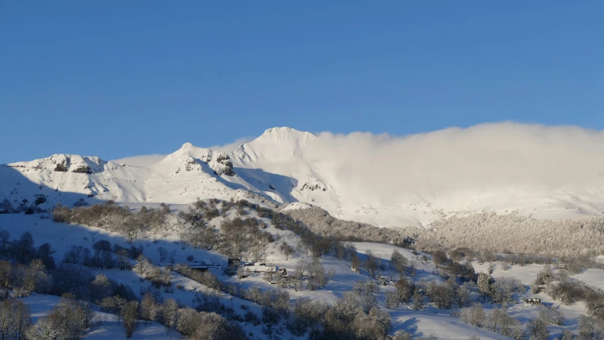 a large snow covered mountain with trees