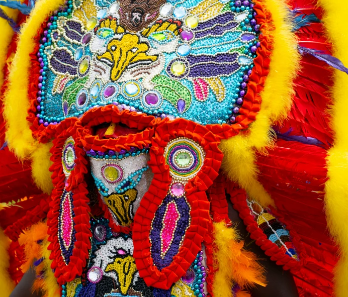 closeup of costume on head of costume with feathers