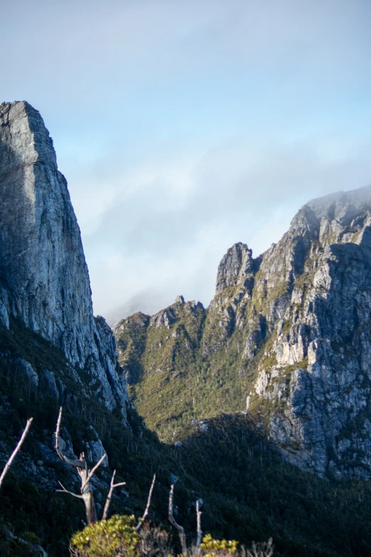 there is an image of the mountains taken from the woods