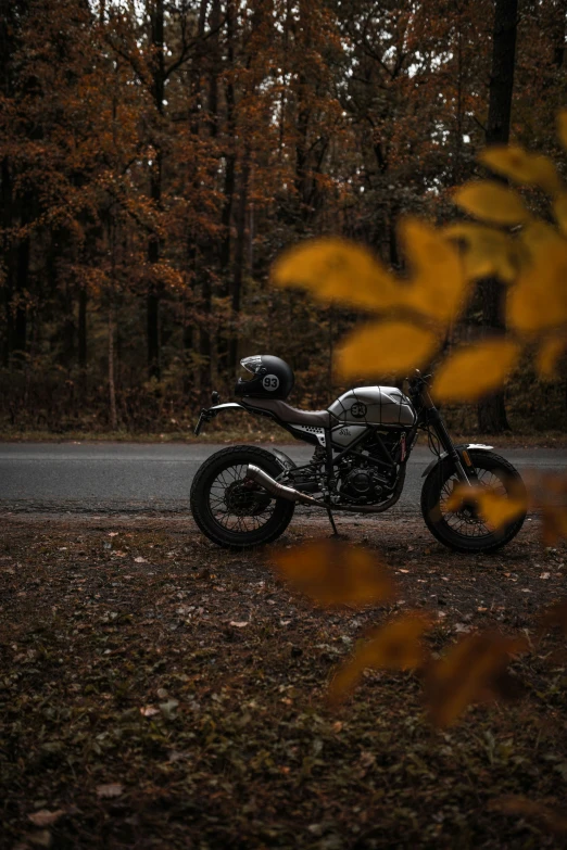a black motorcycle parked by a tree in a wooded area