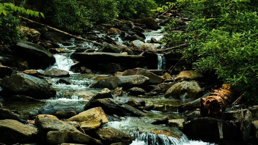 a stream flowing between trees and rocks