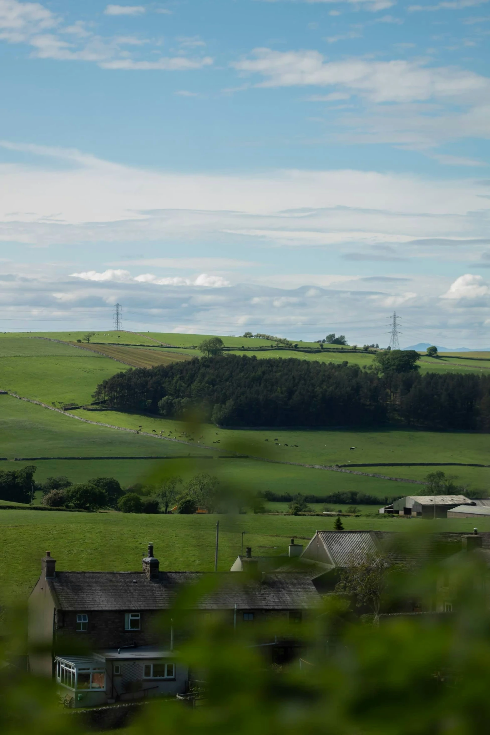 a farm is located on an open land with houses