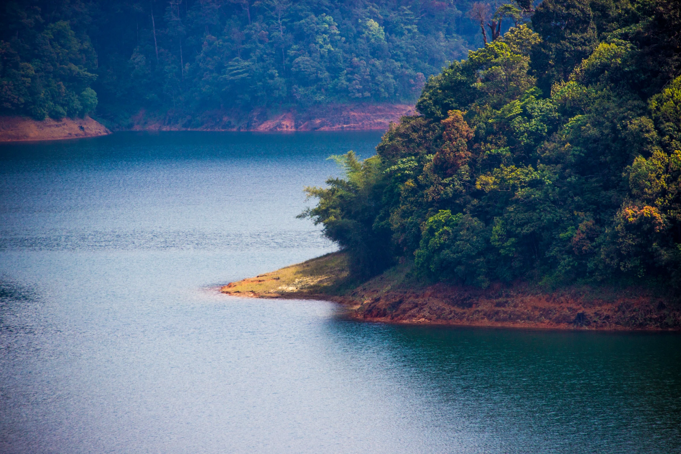 a lone bird stands on the edge of a small island