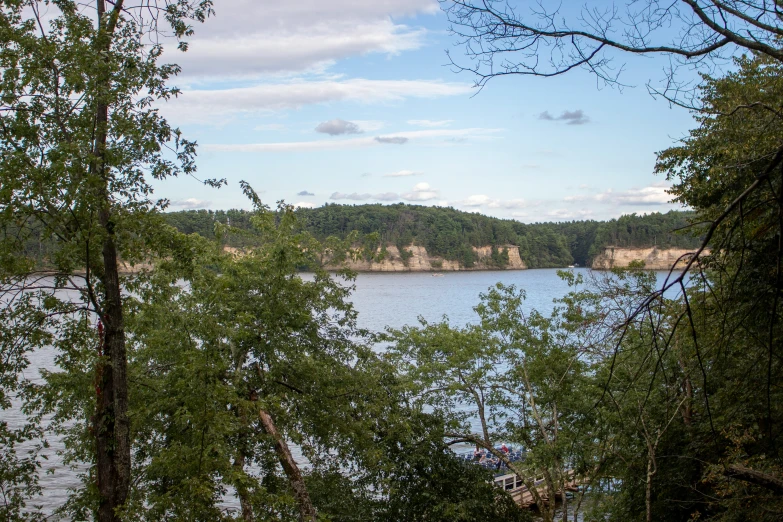 an image of the water with trees around it