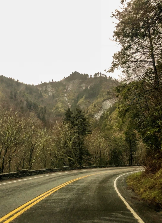 the road has a line of trees at the edge of the road