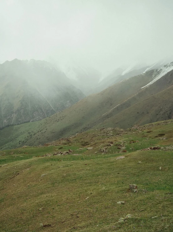 two goats in the grass by some mountains