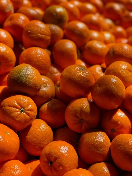 oranges are displayed in a bin at a market