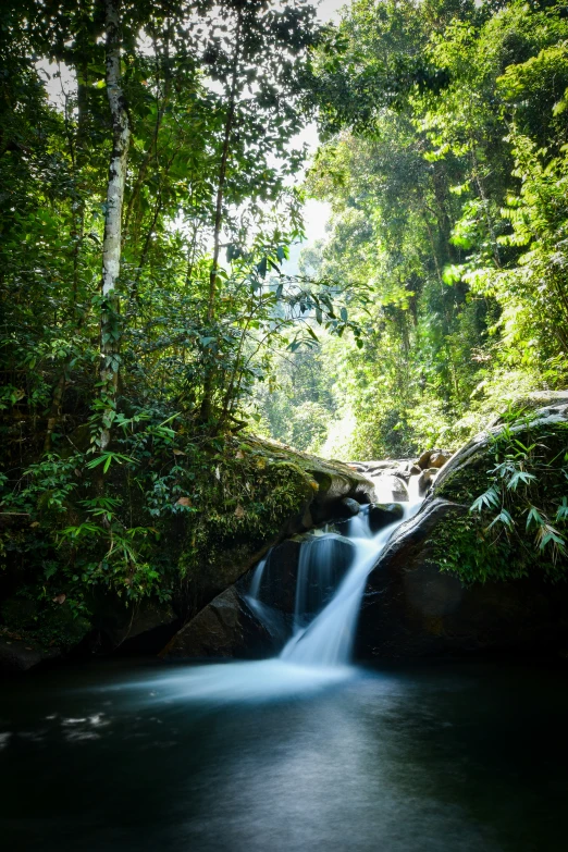 there is a small waterfall in the middle of the forest