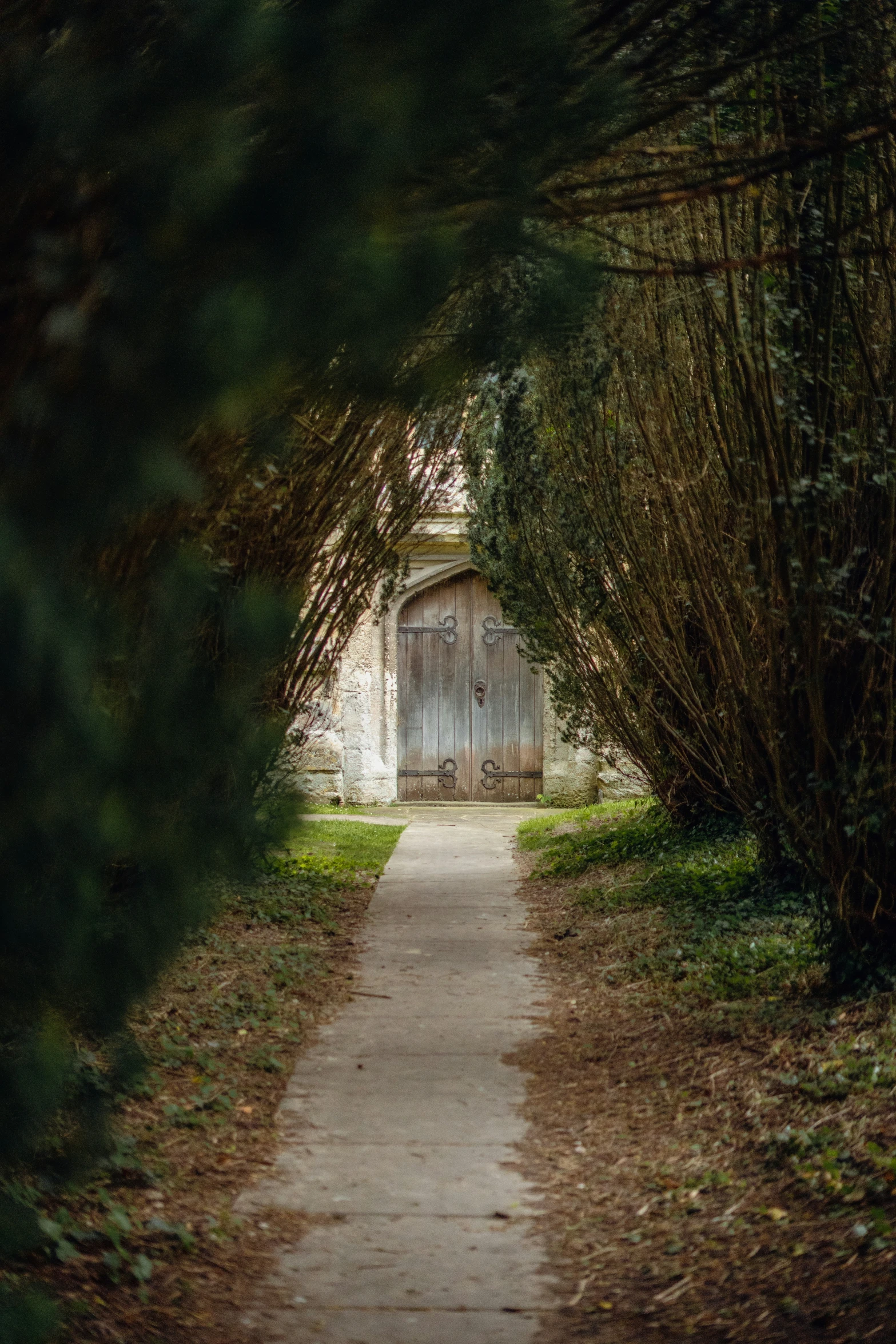 a walk way with a door between trees and leaves