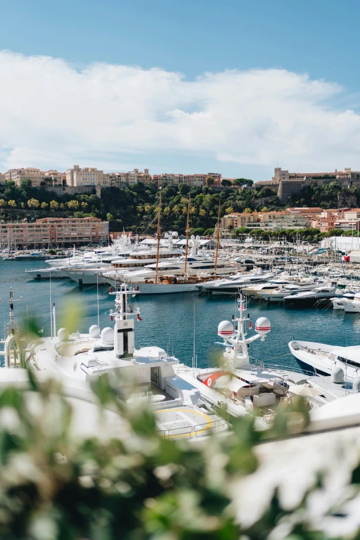 a harbor with boats moored on it and greenery in the foreground