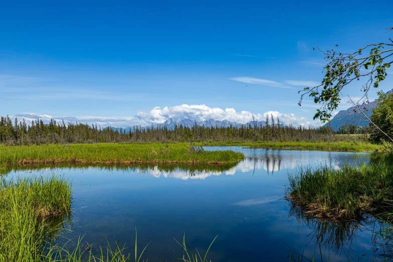 an image of a river and land in the background