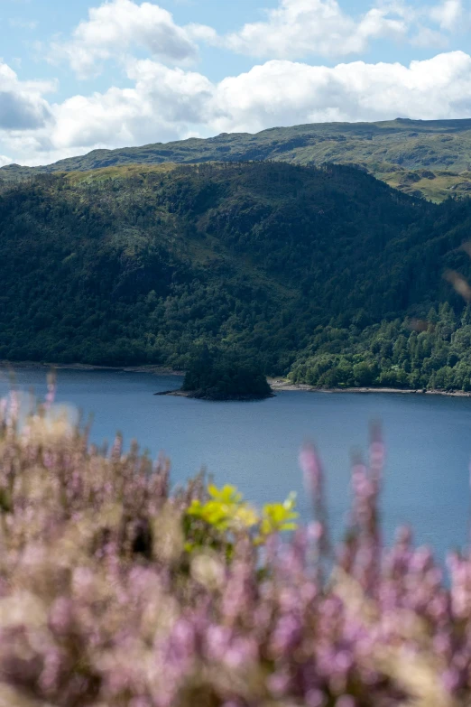 the top of a mountain looking across a lake with flowers in it