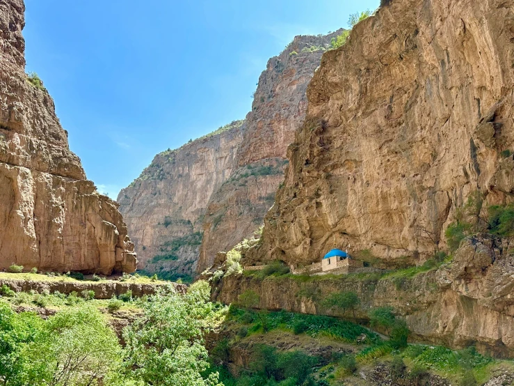 the cliffs have plants growing in them near the river