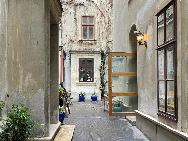 a narrow street with potted plants and plants on either side