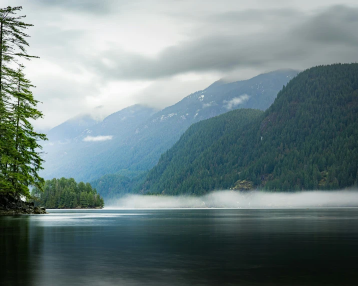 a lake with some trees on both sides and fog in the air