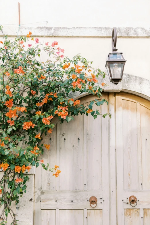 this is an open door with some flowers