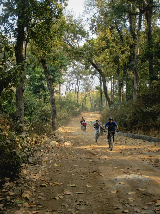 three men are on their bikes riding through the woods