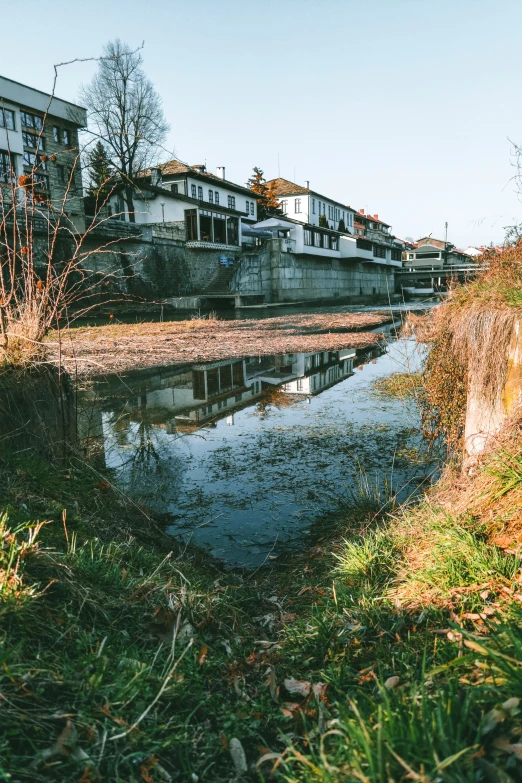 a lake that has some grass in front of it