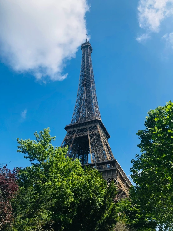 a very tall and ornate tower surrounded by some trees