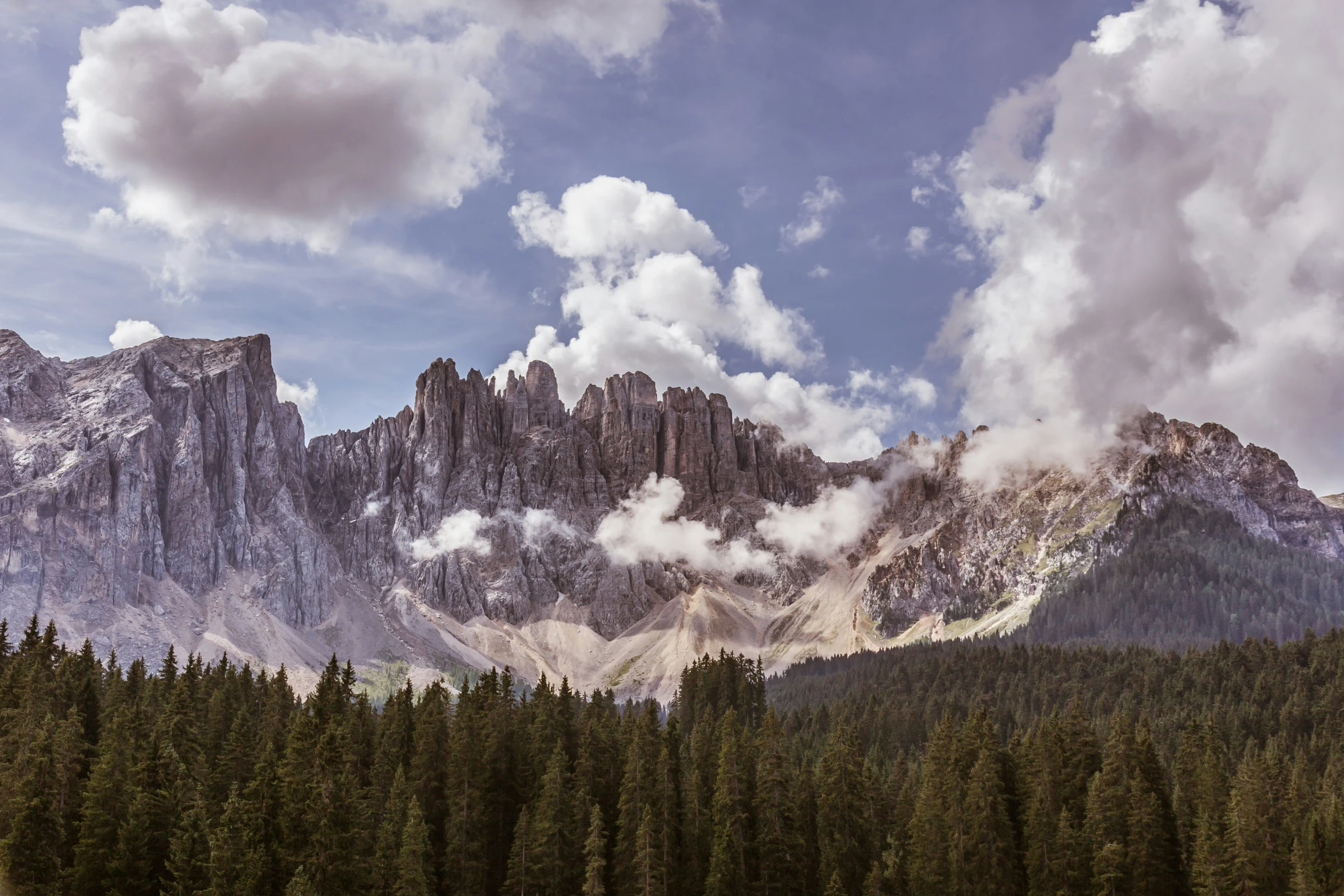 some tall mountains with many trees around them