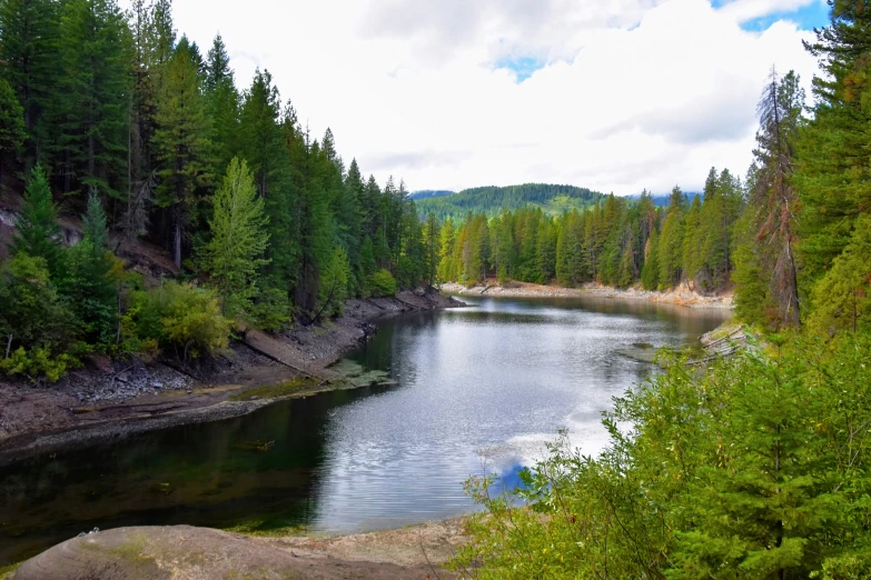 a view of a river surrounded by green trees