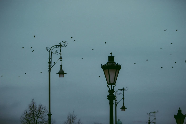 there are many birds flying around a street light