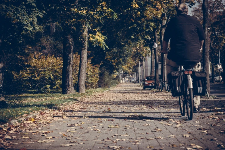a person riding on a bicycle on a path with leaves