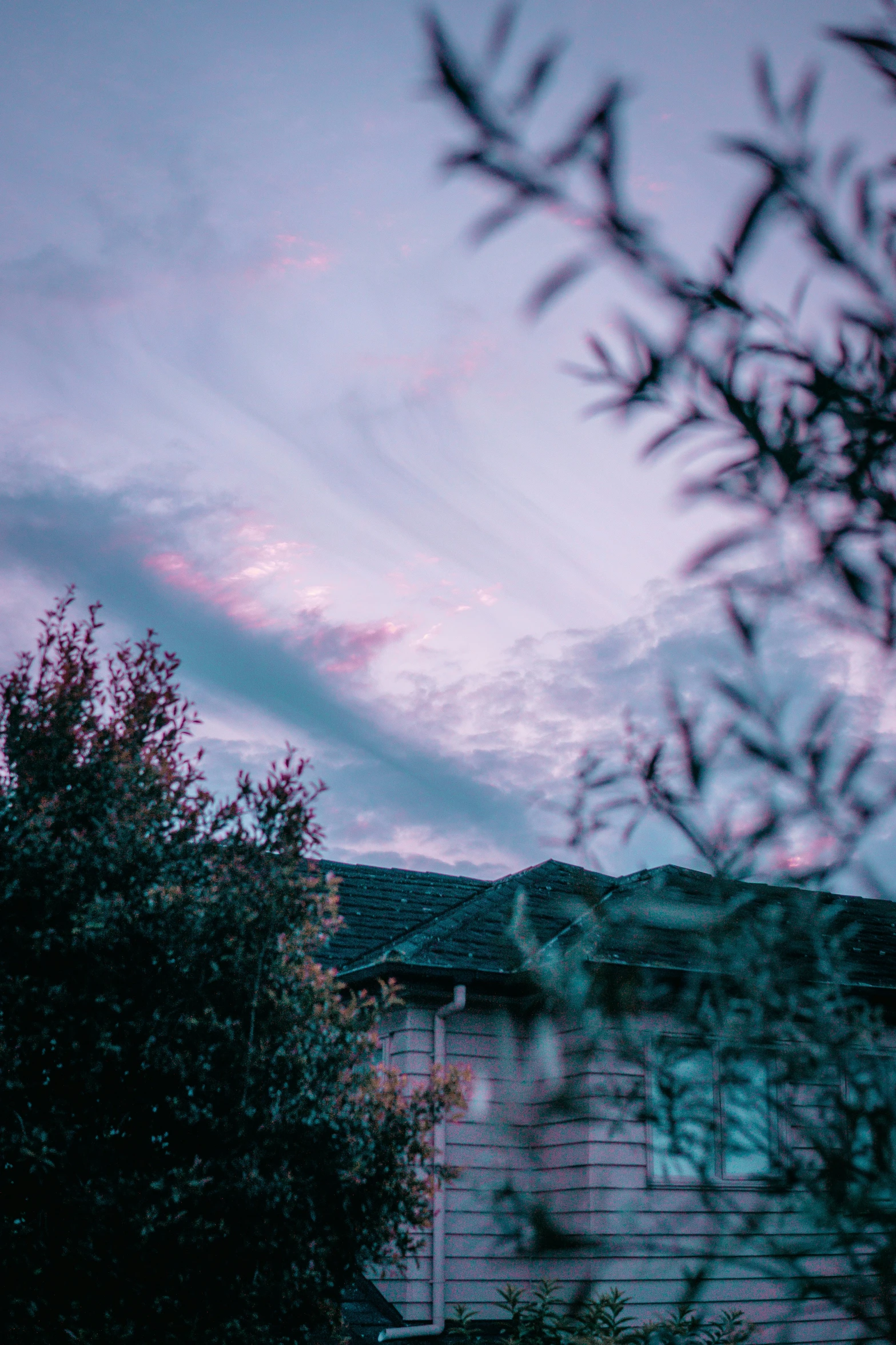 a house and trees during the sunset with a dark background