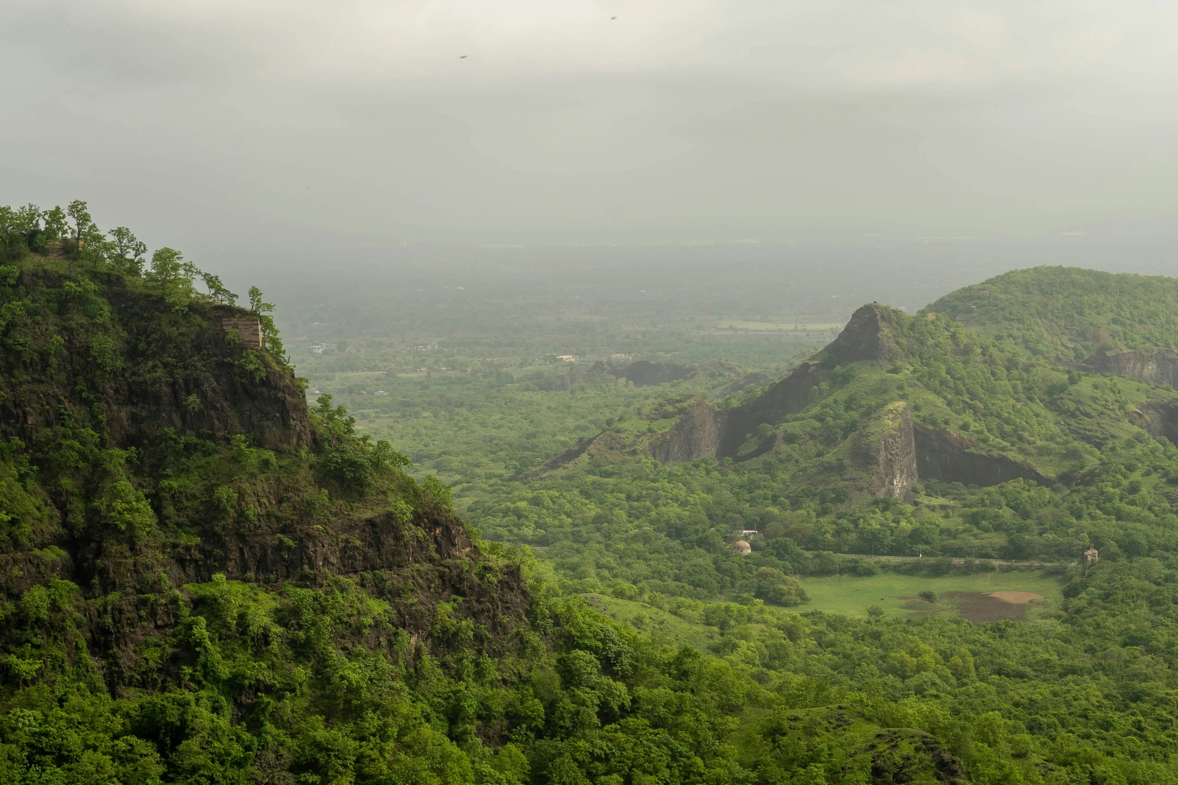 the green area below the trees is very scenic