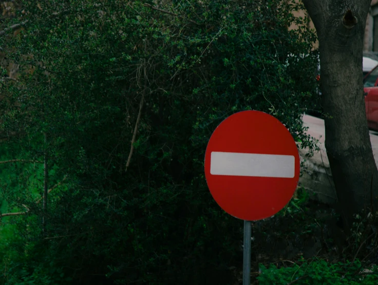 a red and white stop sign on a post by a tree