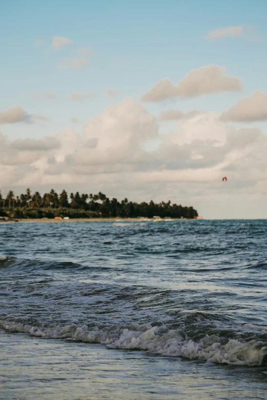 some sand and water with trees in the background